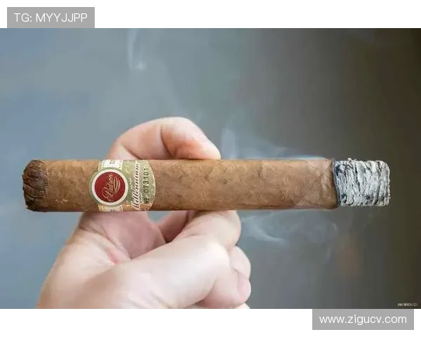 戒指文化的困局：乔丹的王冠与勒布朗的新叙事(1)